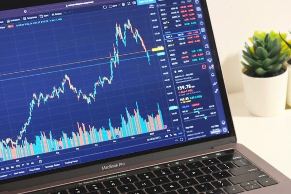 belajar-trading-bagi-pemula-chart-laptop
